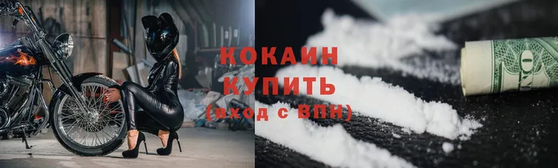 Где купить Электрогорск СК  Мефедрон  Гашиш  Бутират  Cocaine 